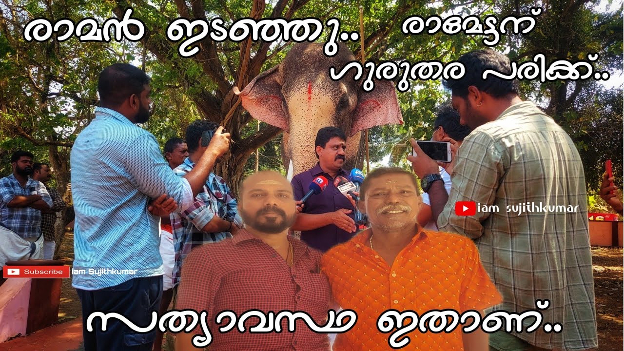 രാമൻ ഇടഞ്ഞു.. രാമേട്ടന് ഗുരുതര പരിക്ക്.. സത്യാവസ്ഥ ഇതാണ്..? Thechikkottukavu Ramachandran