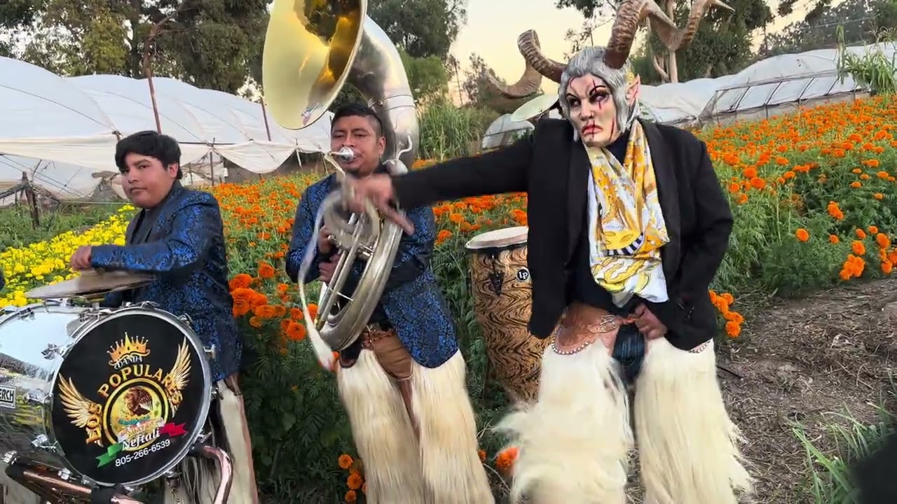Chilena así es paxtlahuaca 