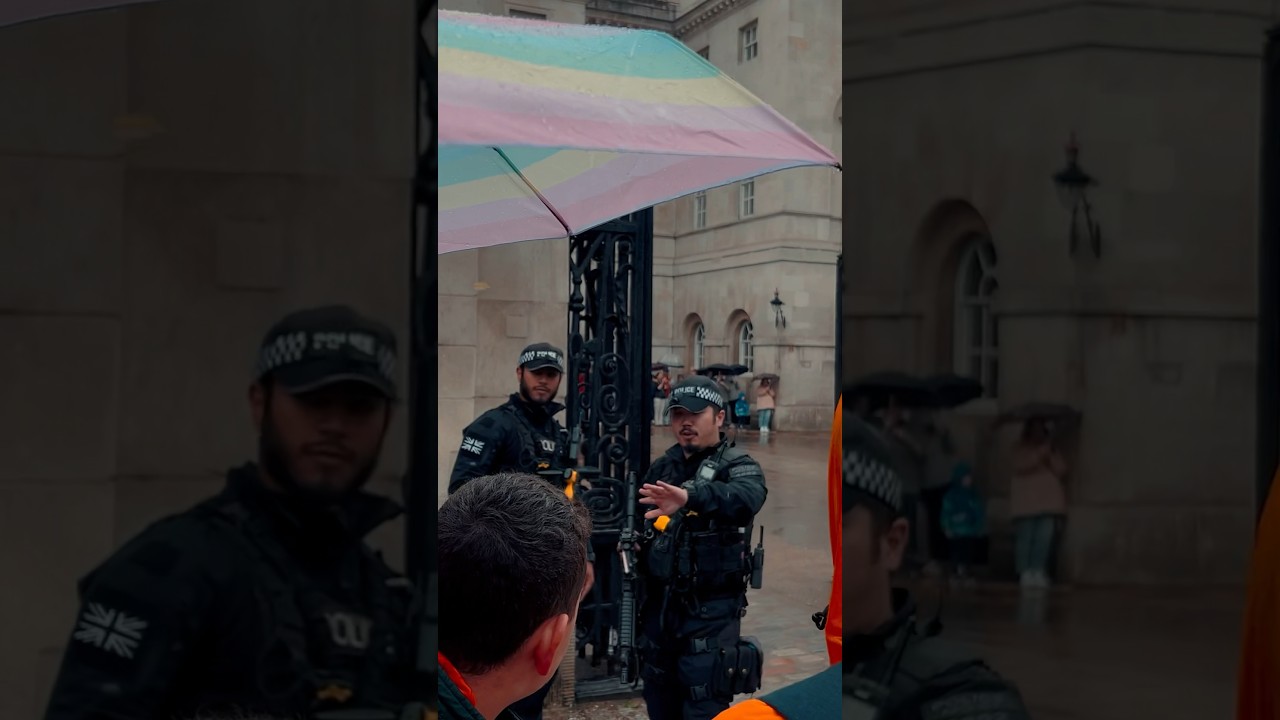 BEHIND THE BOLLARDS FOR YOUR SAFETY! | Horse Guards, Royal guard, Kings Guard, Horse, London, 2024