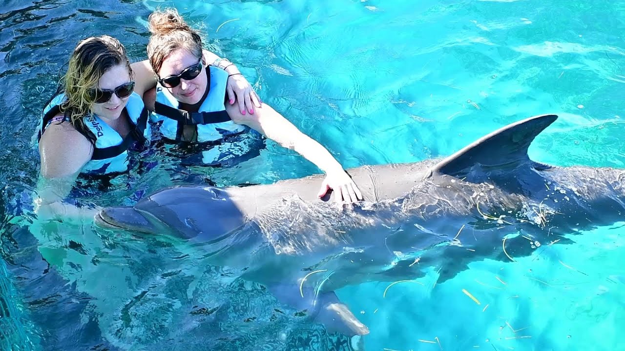 dolphin ride me and KJM