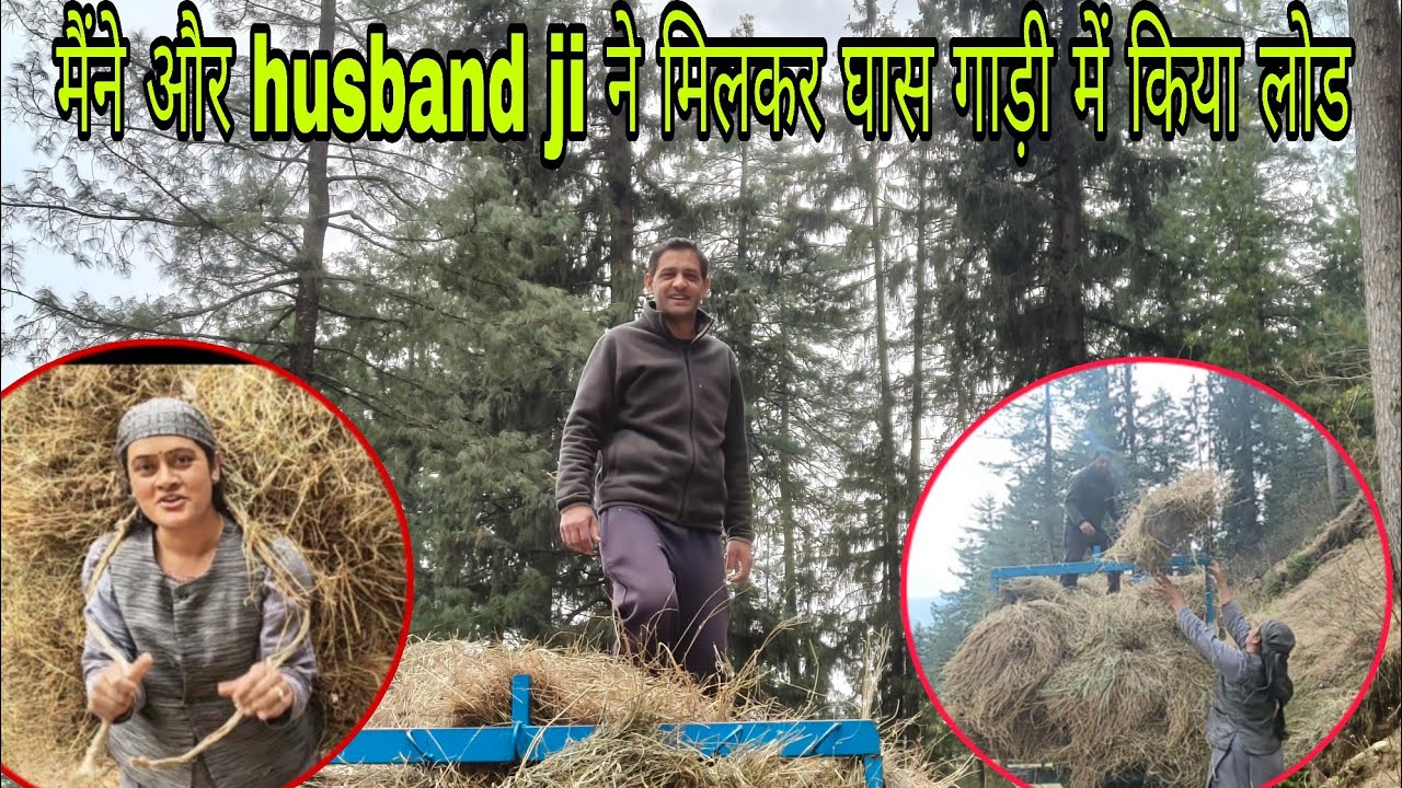 Husband ji और मैंने || मिलकर किया काम || pahadi life style 
