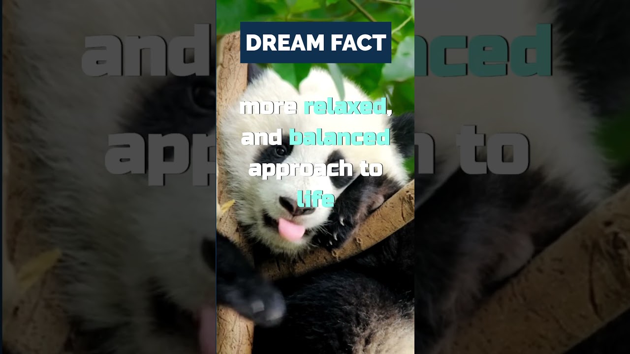 The Meaning Of Dreaming About A Panda 