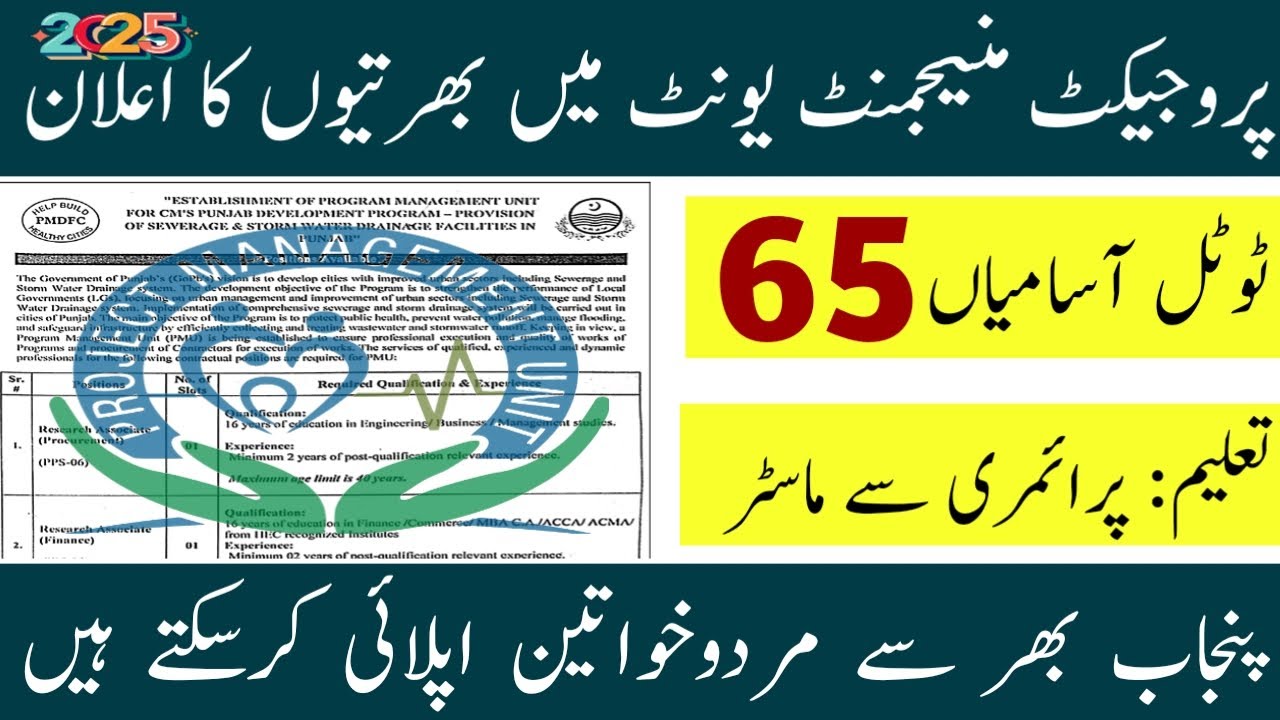 Program Management Unit Jobs 2025 | New Govt Vacancies in Punjab | Online Apply Now