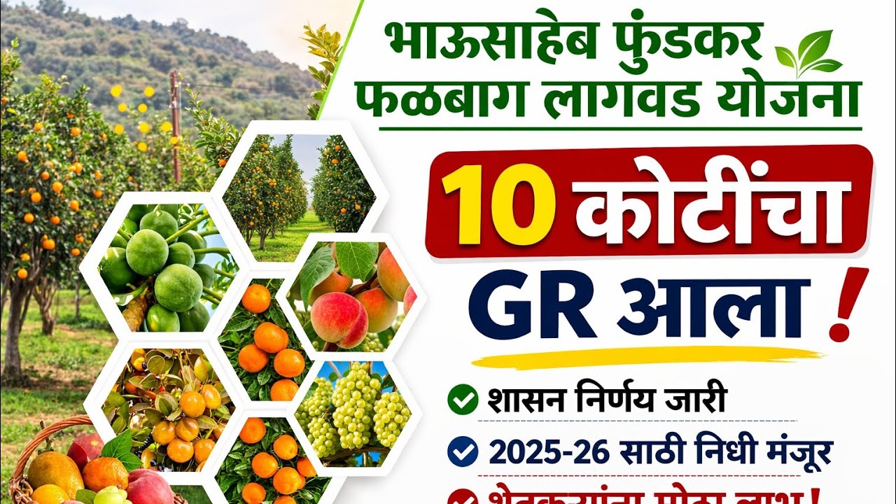 भाऊसाहेब फुंडकर फळबाग  लागवड योजना GR | mahadbt bhausaheb fundkar falbag yojana GR | अनुदान वाटप होण