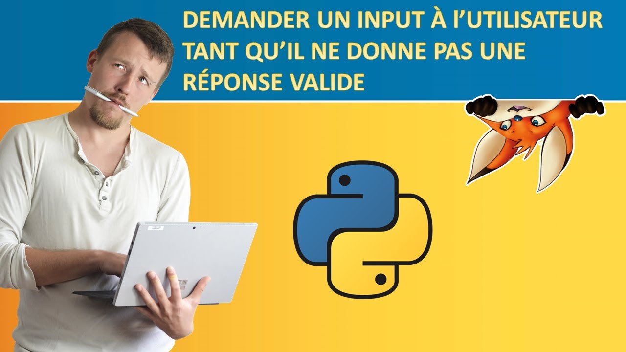 Demander un input &agrave; l'utilisateur tant qu'il ne donne pas une r&eacute;ponse valide - Python