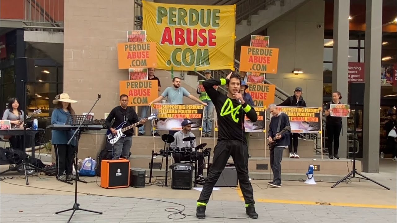 End Speciesism | Official Performance with the band We Are All to Blame