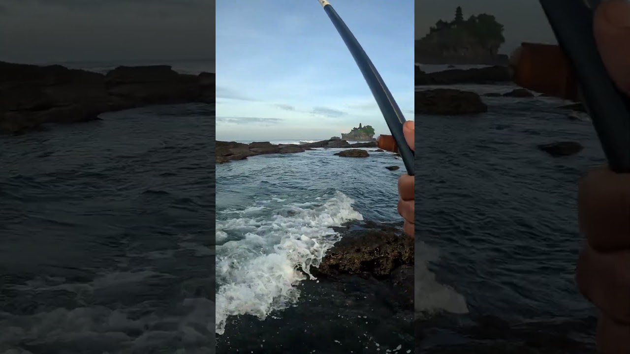 Tarikan ikan baronang memang bikin kita ketagihan 