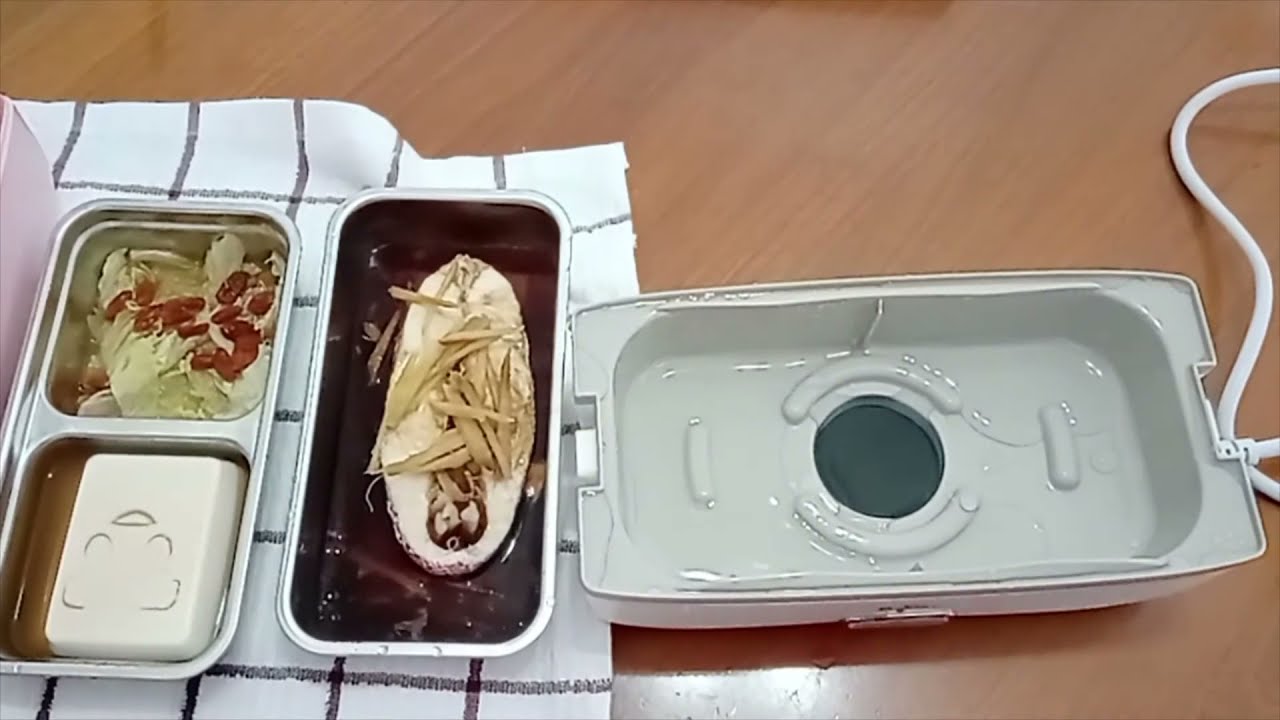 Steamed fish, tofu and wongbok using the Bear Rectangle Electric Lunch Box