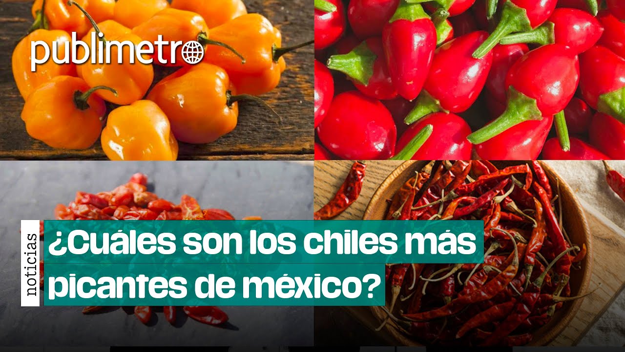 &iquest;Cu&aacute;les son los chiles m&aacute;s picantes de M&eacute;xico?