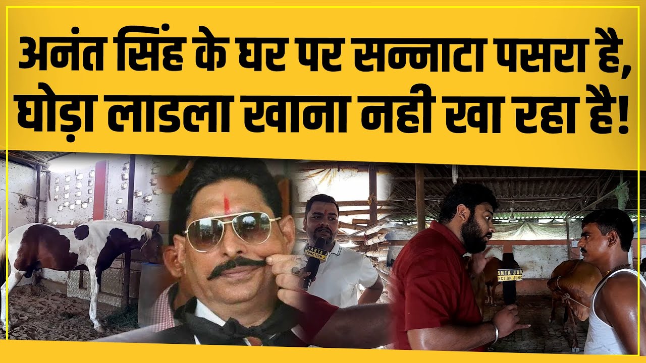 Anant Singh के घोड़े लाडले की कहानी सुनी होगी आपने, देखिए कि वो कितना परेशान है उनके जेल जाने से!