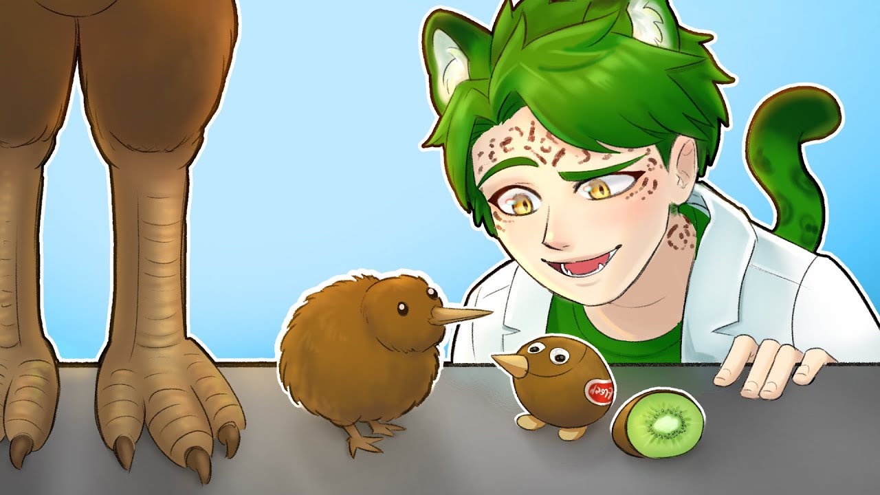 Quem veio primeiro, o Kiwi ou o Kiwi? - A estranha história de evolução dos kiwis