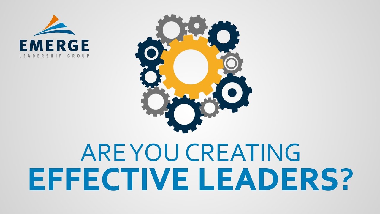 The Leadership Transition Overview