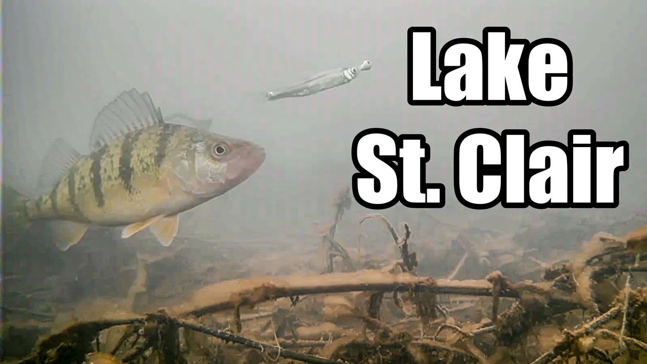 Lake St Clair Ice Fishing