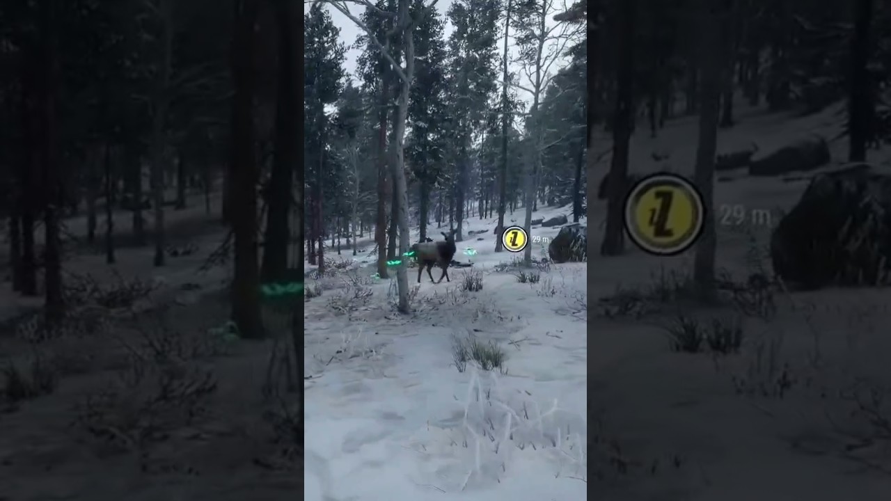 Прекрасное взаимодействие #thehunter #thehuntercotw #cotw #cotwclips