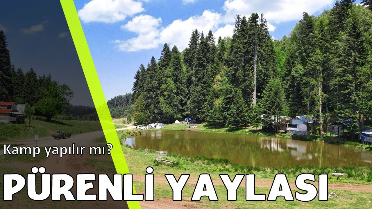 Pürenli Yaylası Kampı ⛺️ Kamp İçin Uygun mu? │ #Pürenli #kamp  #drone  [01-02.06.2024]