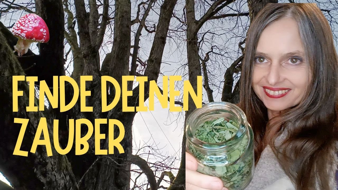 🍄 Ein Baum, ein Tee, ein neuer Zauber