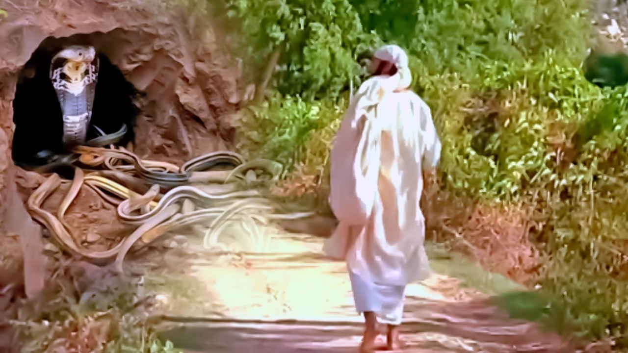 साईं बाबा जब पहुंचे गांव वालो को संकट से बचाने के लिए | Mere Sai | Shirdi Sai Baba | Sai Baba Aarti