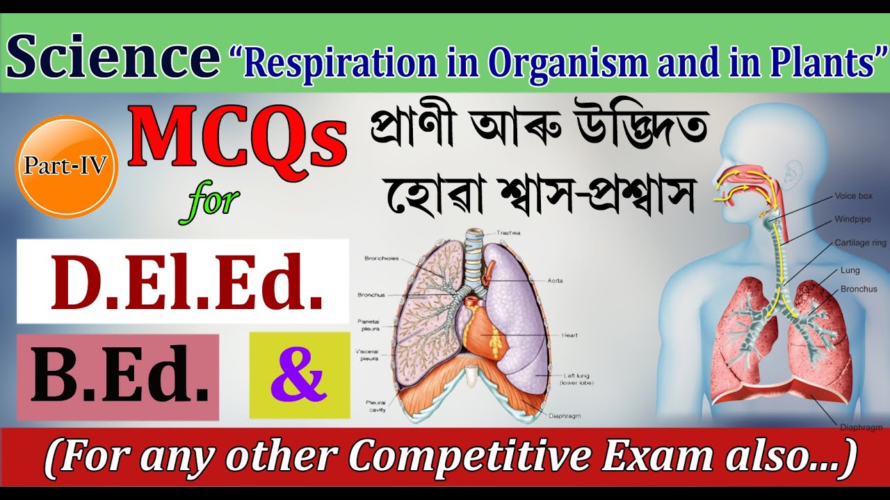 Respiration in Organism and in Plants(প্ৰাণী‌ আৰু উদ্ভিদত হোৱা শ্বাস-প্ৰশ্বাস)