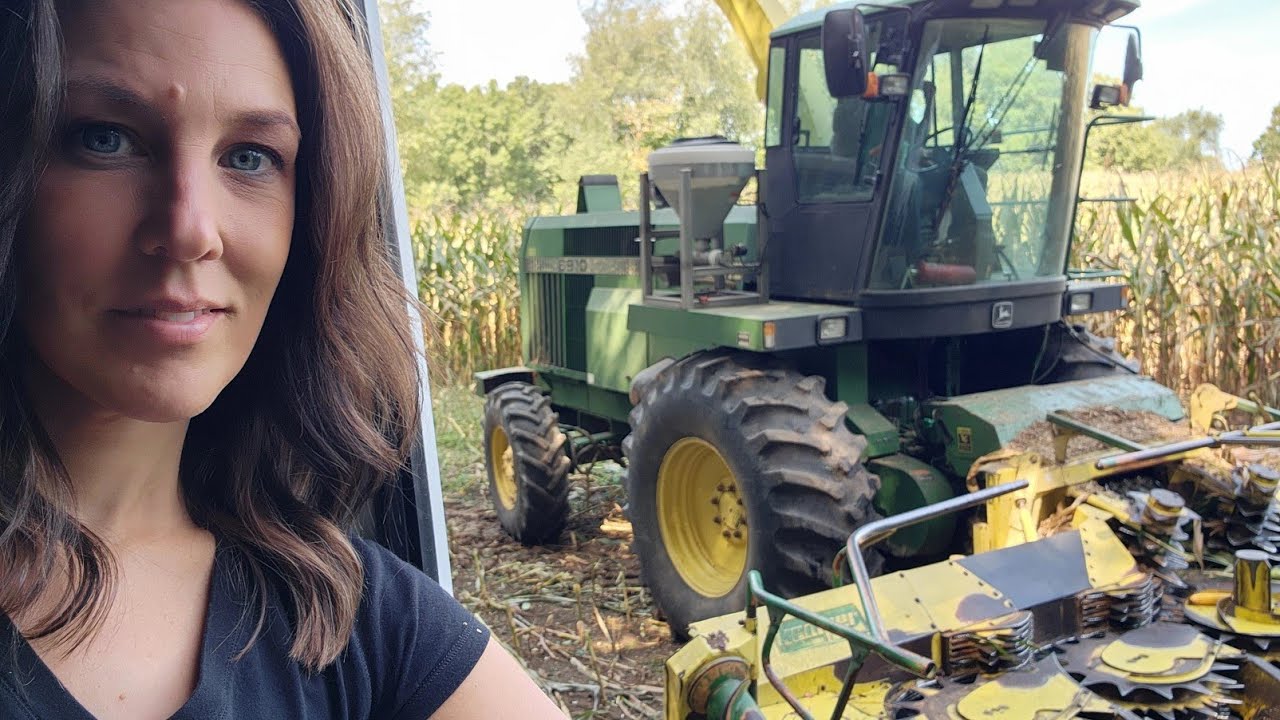 Busy Harvest Season: Chopping Corn and Mowing Hay 🌽🚜🐄