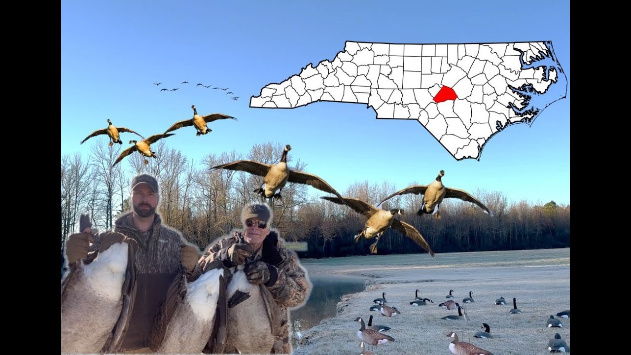 Harnett County Honkers did it right, well almost... | NC Goose Hunting with Dad