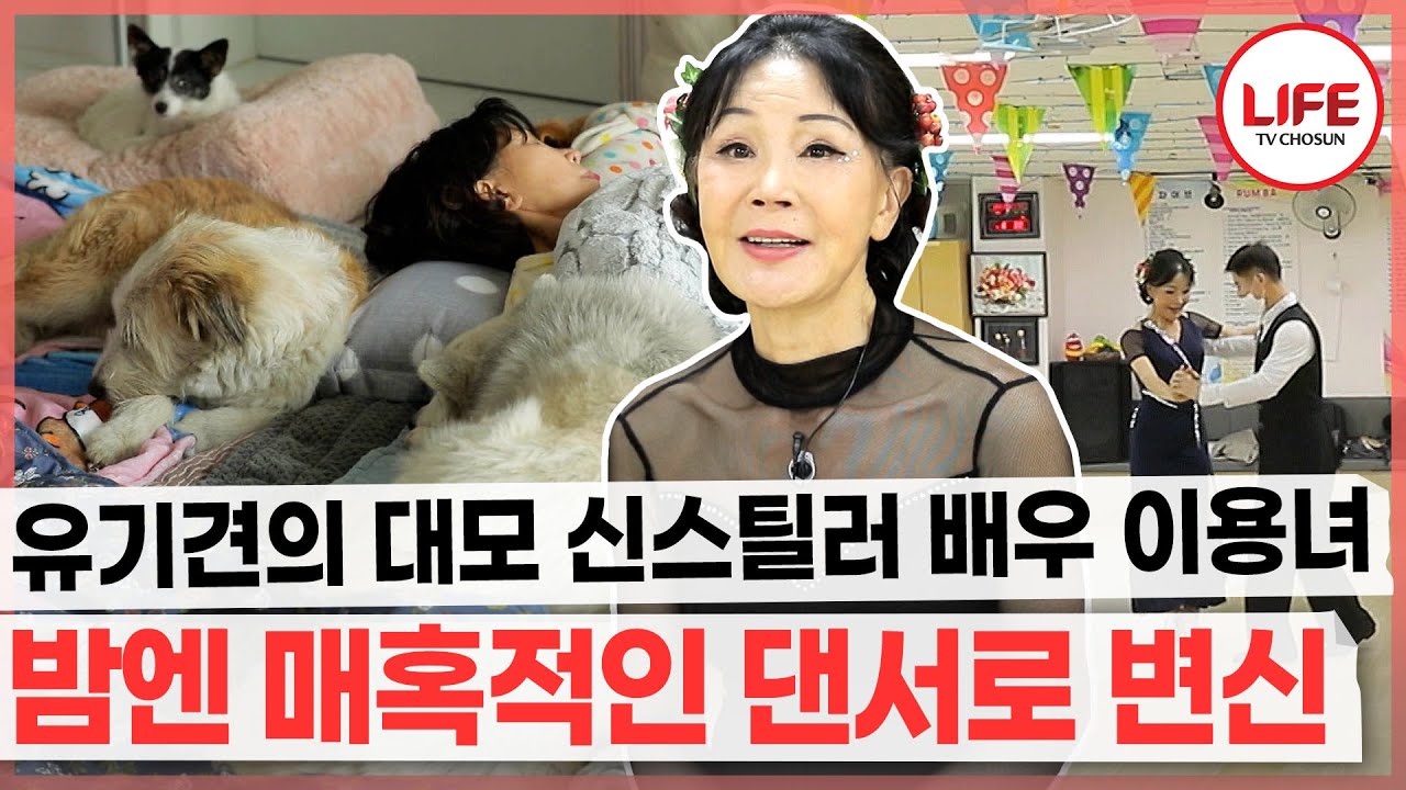 [#기적의습관] 유기견뿐만 아니라 유기묘도 키우는 배우 이용녀, 아침부터 저녁까지 바쁘다 바빠 쉴 틈이 없어! (TV CHOSUN 220104 방송)