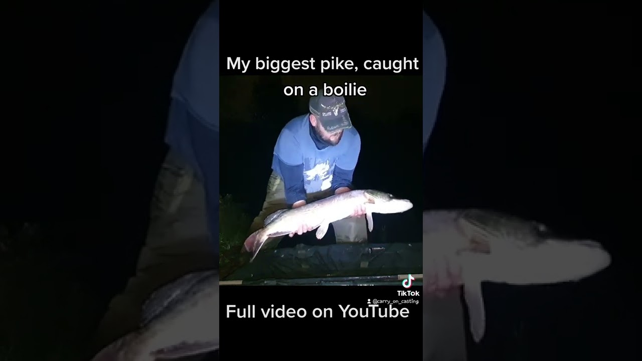 My biggest pike caught on a boilie.... #pike #fishing #bhfyp #youtube #angler #fishinglife #fish