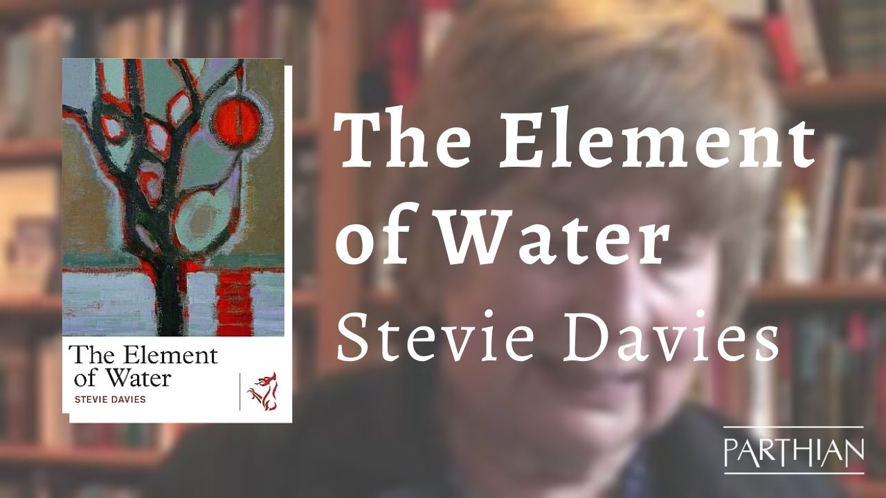 Susanna Capon on Stevie Davies' The Element of Water | #WeRecommend