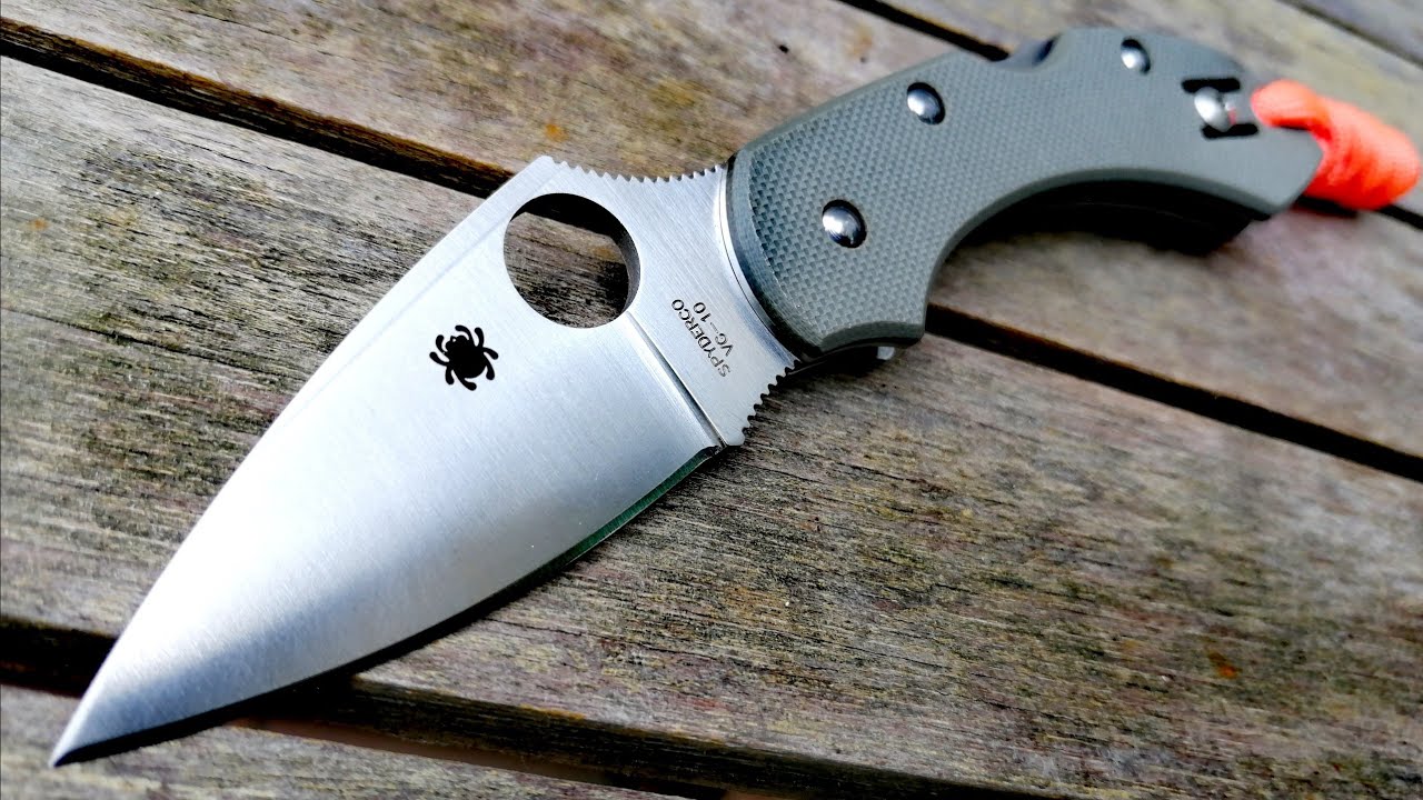 SPYDERCO - DRAGONFLY G10 FOLIAGE GREEN