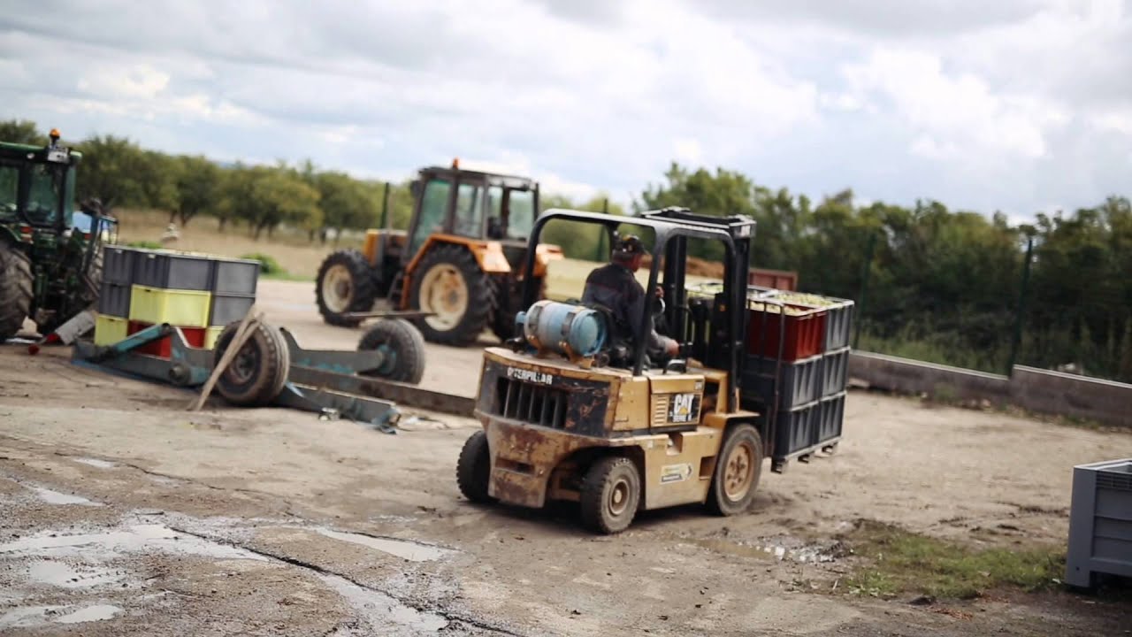 AOC Côtes de Toul : Domaine Lelièvre à Lucey