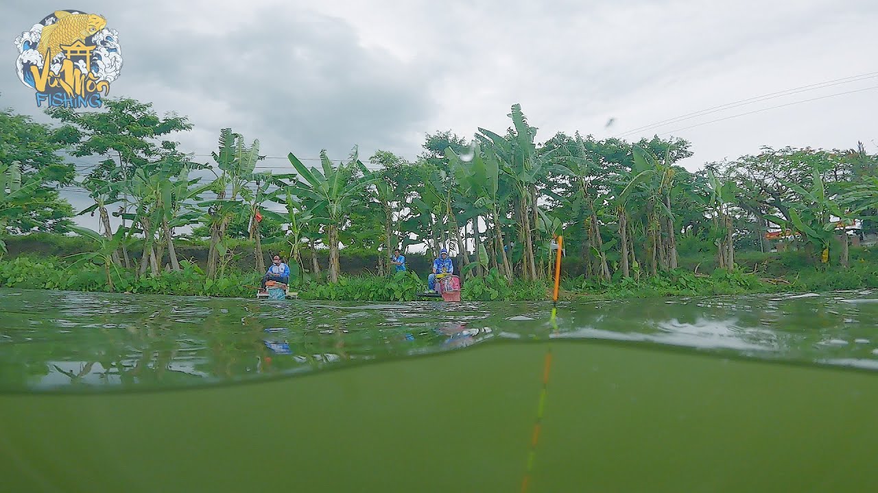 CÂU CÁ NGHỆ AN: Câu Cá Hồ Nước Nông 70cm