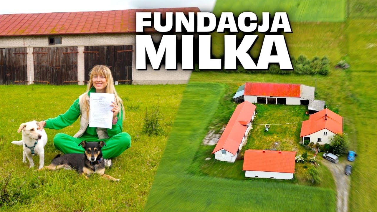 KUPIŁAM GOSPODARSTWO I ZAKŁADAM FUNDACJĘ DLA ZWIERZĄT