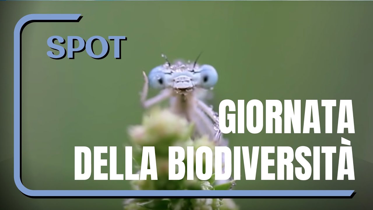Giornata mondiale della biodiversit&agrave;