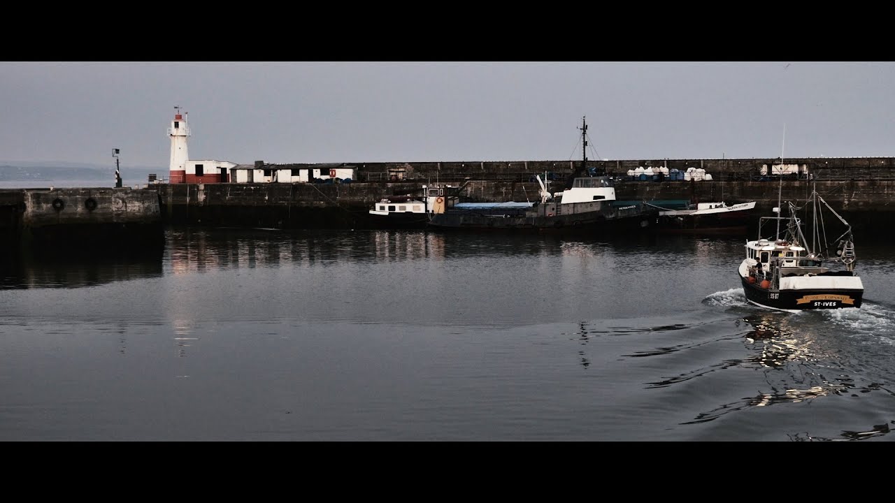 Modern Seine Fishing for Cornish Sardines with Danny Downing