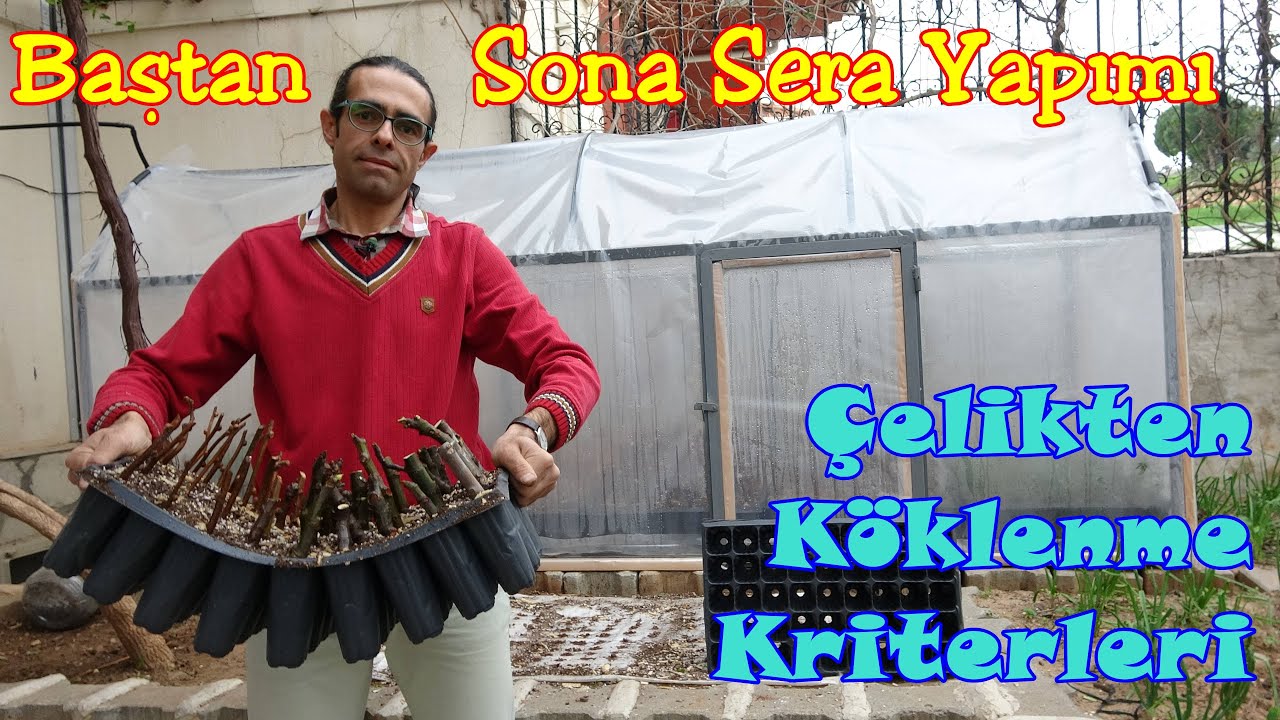 Profesyonel Çelikten Köklendirme Serası Yapımı