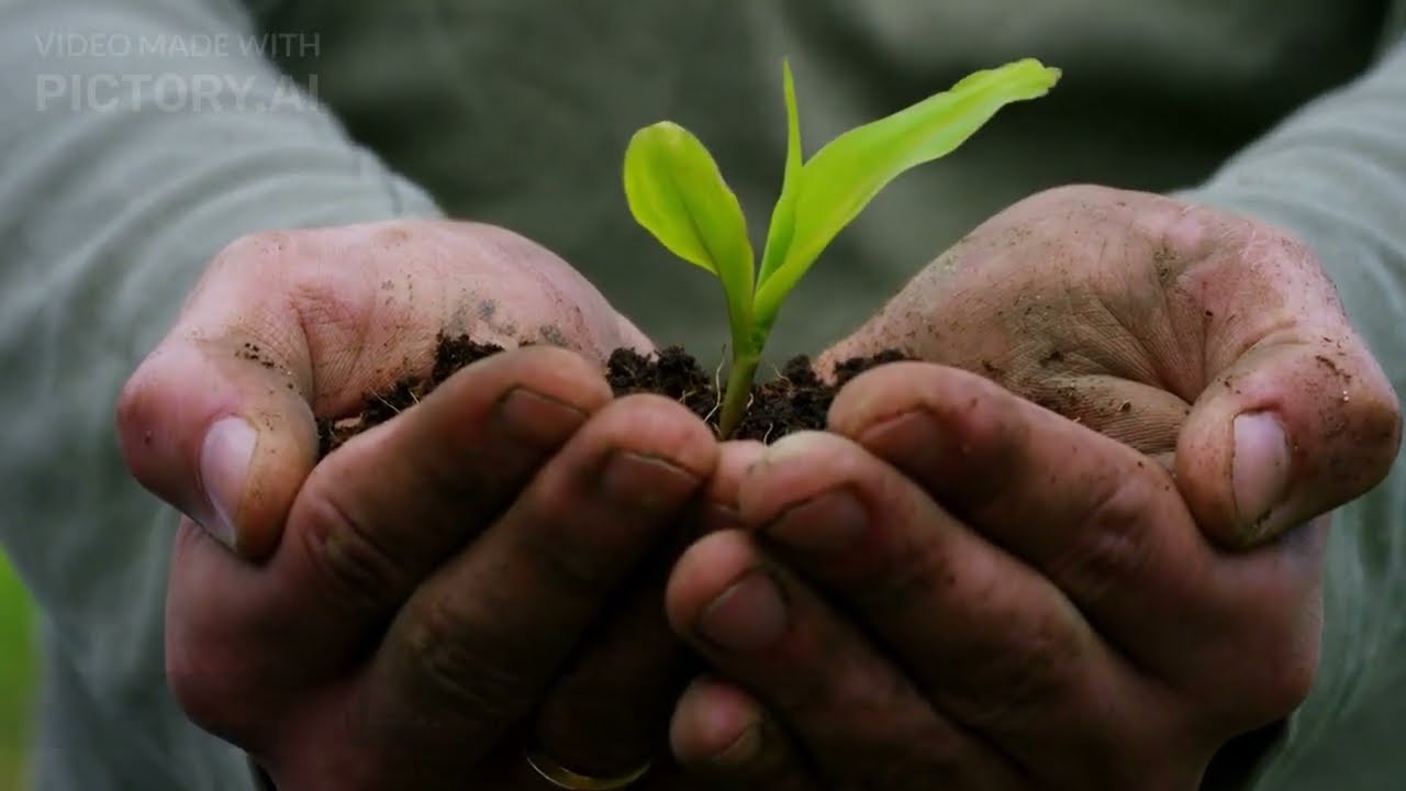 Beginners Guide To Become A ZeroHero, A Zero-Waste Lifestyle