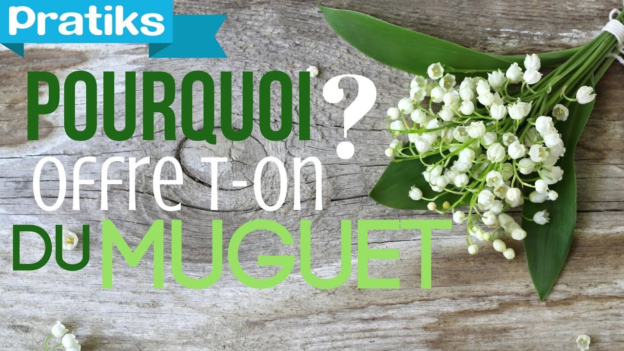 Pourquoi offre-t-on du muguet le 1er Mai ?