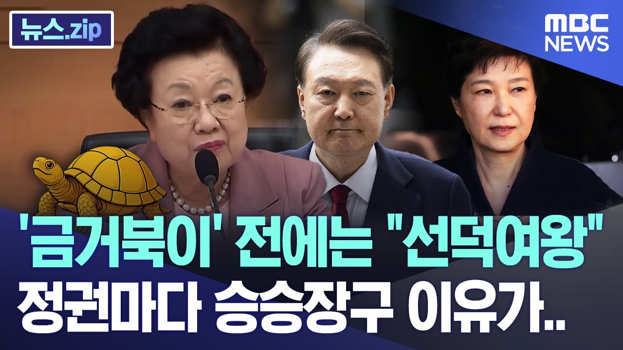 '금거북이' 전에는 