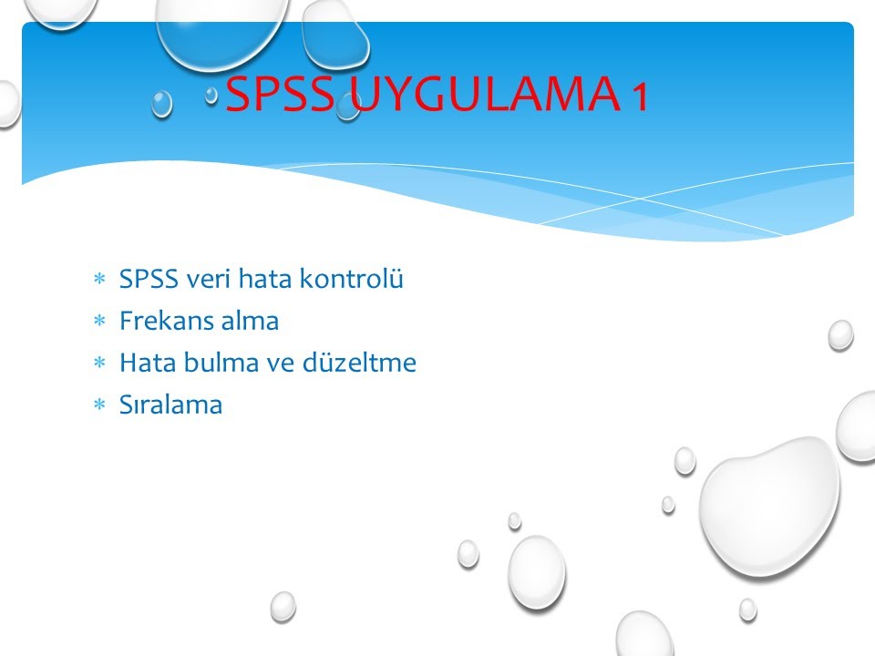 SPSS uygulama hata kontrolü ve frekans alma