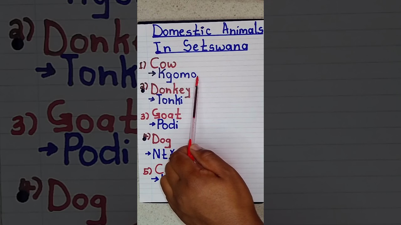 Domestic Animals in Setswana #setswana #animals