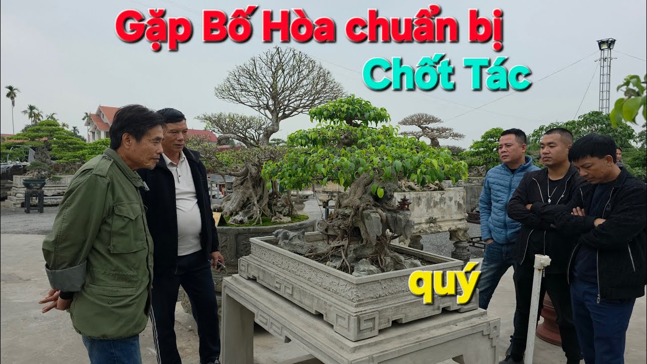 Triển lãm rất Hoành tráng Tại nhà Vườn Hùng luyên địa chỉ kinh Môn..HD