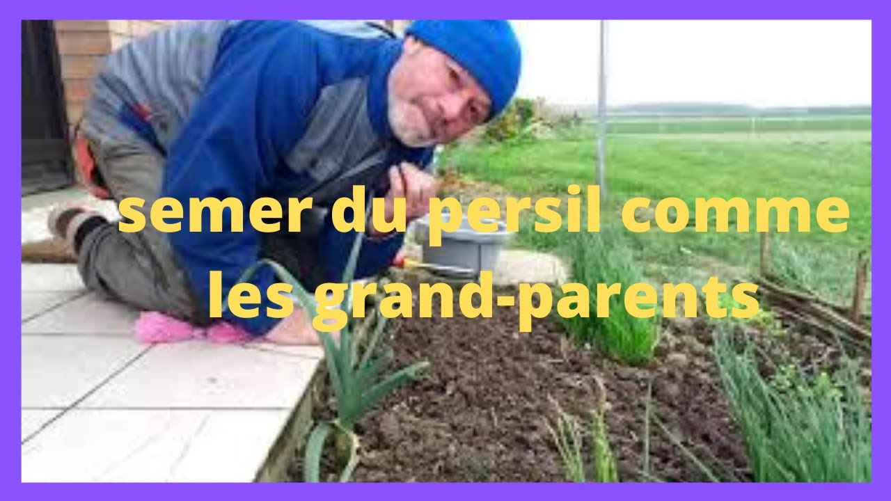 semer du persil comme faisaient nos grands parents ?????