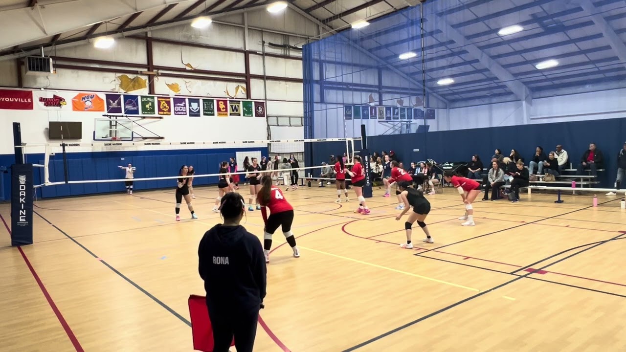 VS PINK PANTHERS Set 1