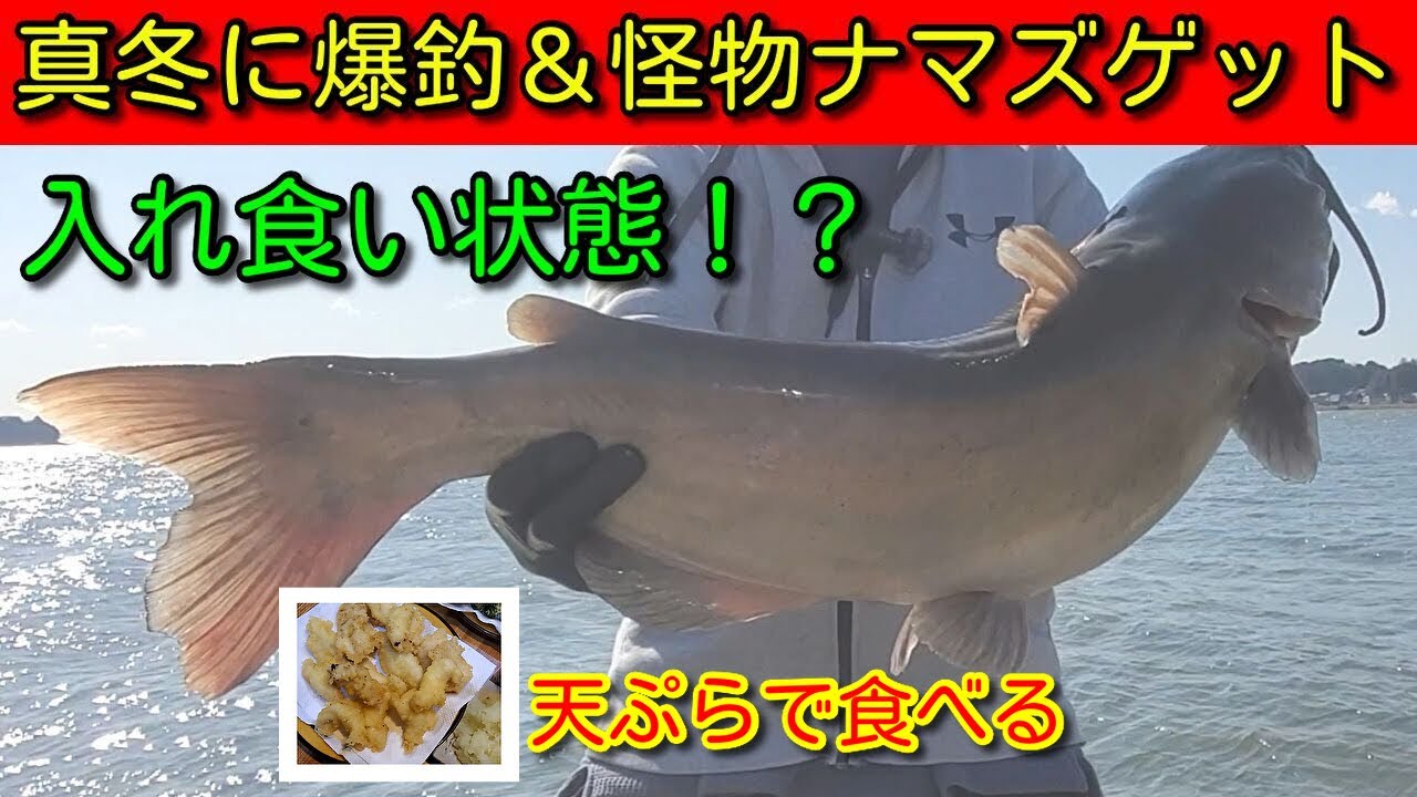 【霞ヶ浦】真冬にアメリカナマズ爆釣で逃げ帰る！天ぷらで食べる