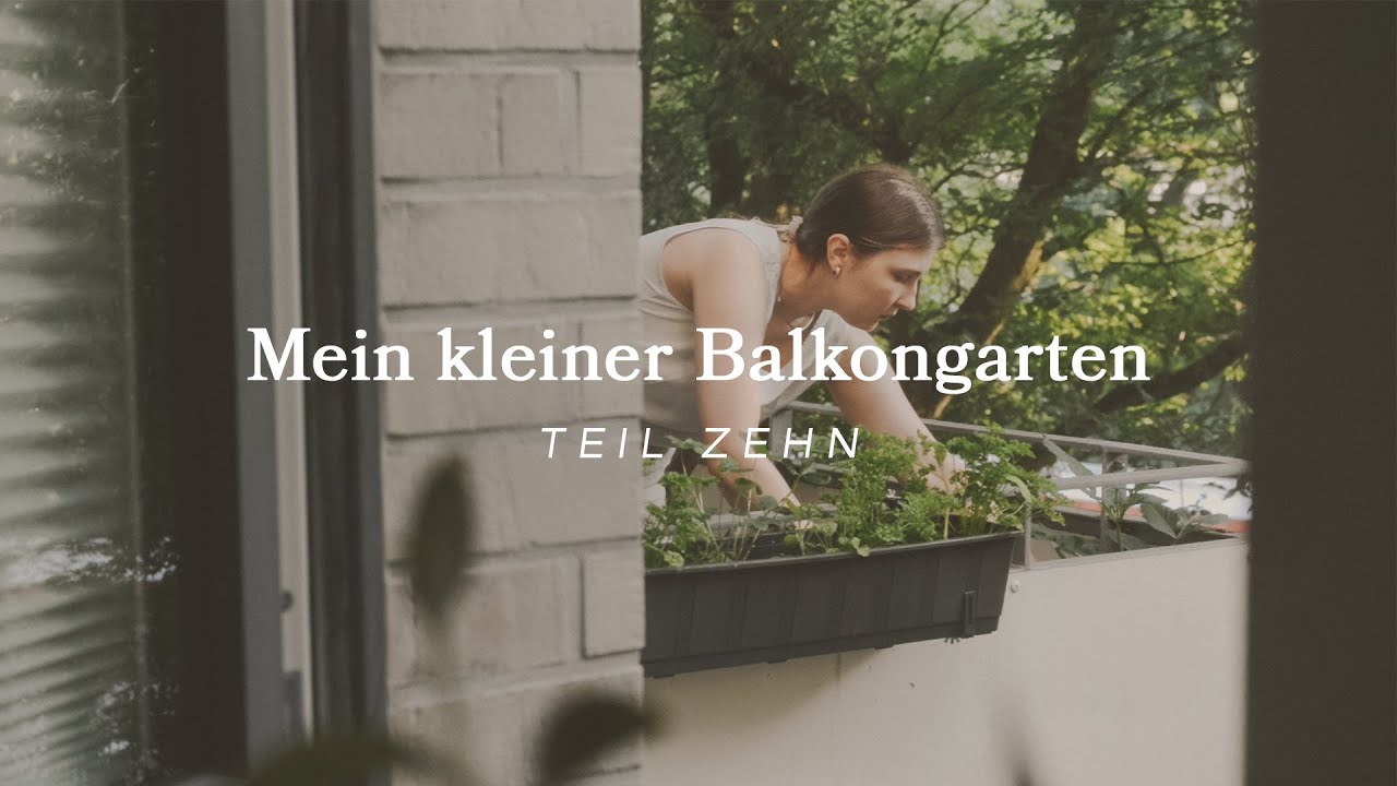 Mein kleiner Balkongarten – Teil 10 | mein Pflanzenfortschritt, ein Holzbeet und Frühsommertage 🌳🌞