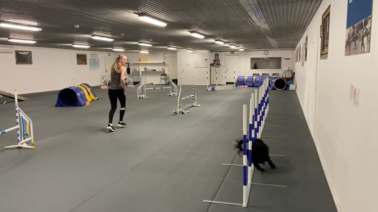 Lisa and My - RC training - soft turns, 220309