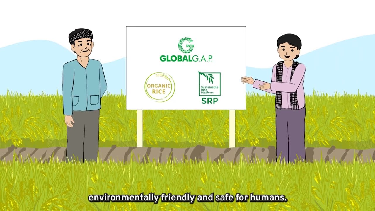 Farmer Business Schools (FBS) Vietnam - Chapter 10