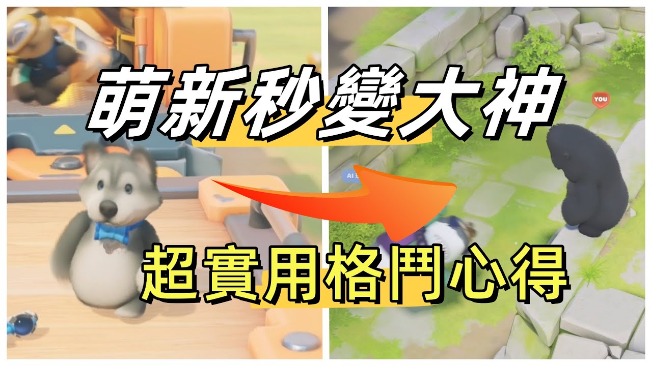 純乾貨 高手一步到位【猛獸派對】