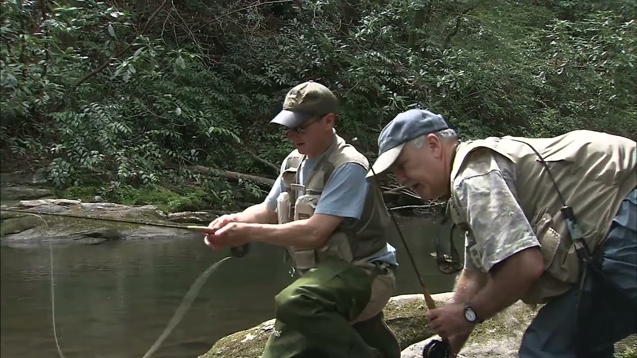 Trout Fly Fishing in the Pisgah Forest: An Angler’s Guide