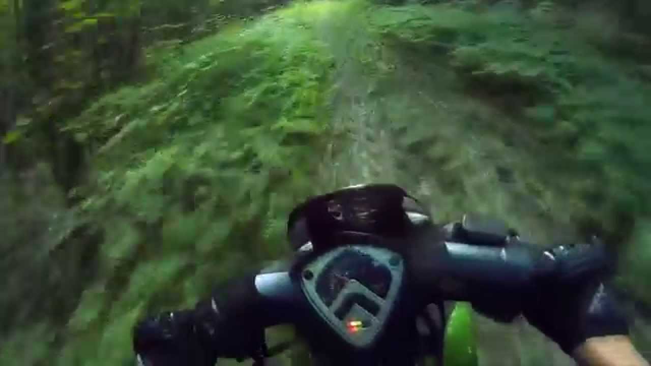 GoPro: Storm indigo, Эндуро по лесу,