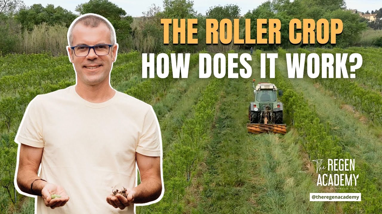 How does the Roller Crop work?